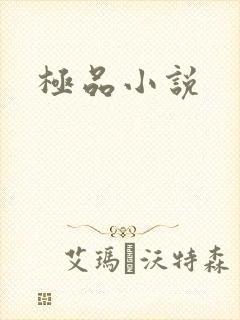 极品小说