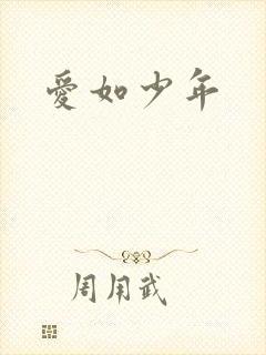 爱如少年