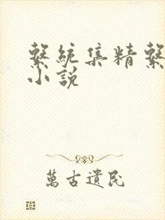 系统集精系统 小说