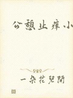 公憩止痒小说封面