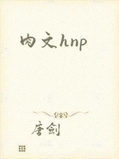 肉文hnp