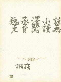 魏承泽小说全文免费阅读无弹窗笔趣