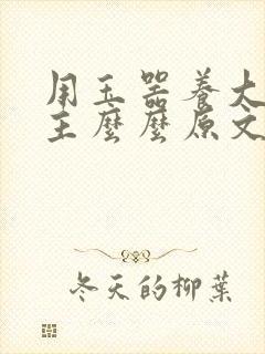 用玉器养大的公主么么原文