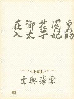 在御花园皇上进入太子妃的小说