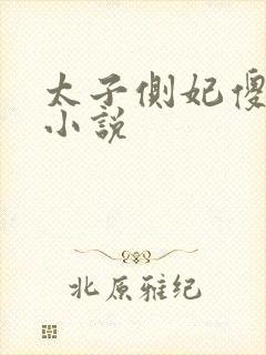 太子侧妃傻乎乎小说