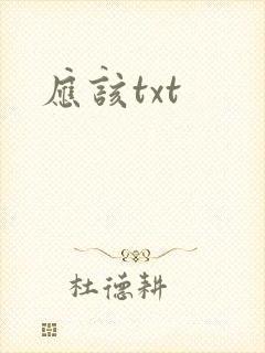 应该txt