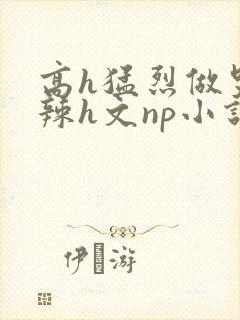 高h猛烈做哭高辣h文np小说