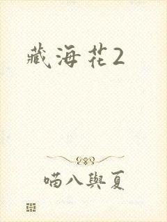 藏海花2封面
