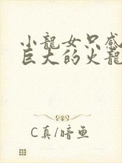 小龙女只感觉那巨大的火龙枪封面