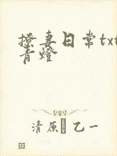 撩妻日常txt青灯