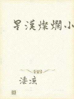 星汉灿烂小说封面