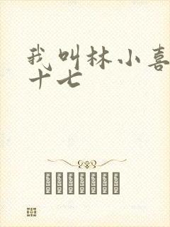 我叫林小喜今年十七