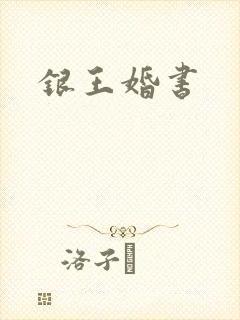 银王婚书封面