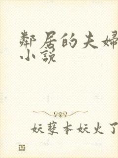 邻居的夫妇交换小说