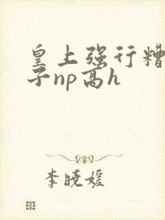 皇上强行糟蹋太子np高h