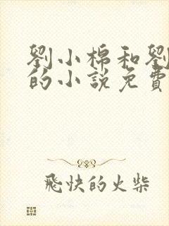 刘小棉和刘易文的小说免费阅读封面