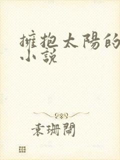 拥抱太阳的月亮小说