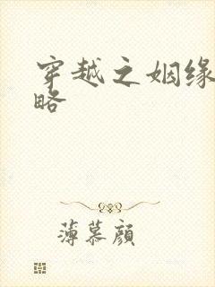 穿越之姻缘劫攻略封面