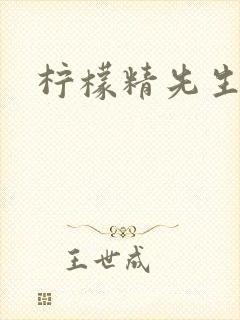 柠檬精先生封面