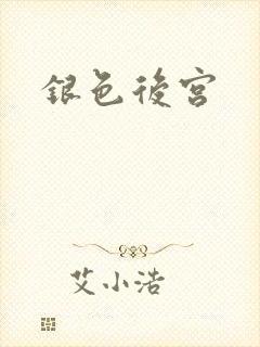 银色后宫