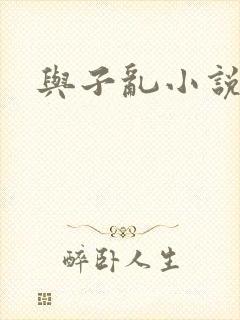 与子乱小说