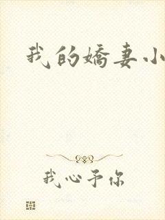 我的娇妻小说