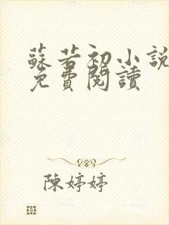 苏若初小说全文免费阅读封面