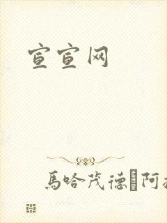 宣宣网封面