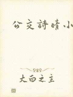 公交诗晴小说