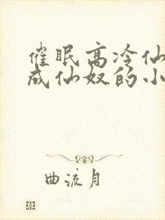 催眠高冷仙奴变成仙奴的小说