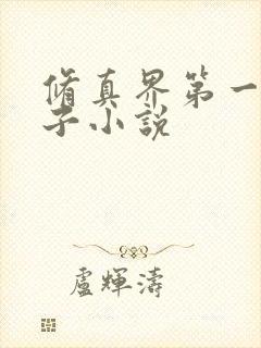 修真界第一病秧子小说封面