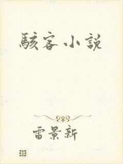 骇客小说