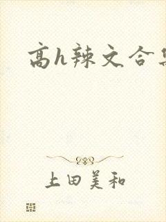 高h辣文合集