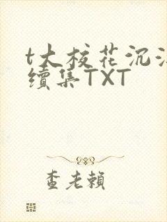t大校花沉浮录续集TXT封面