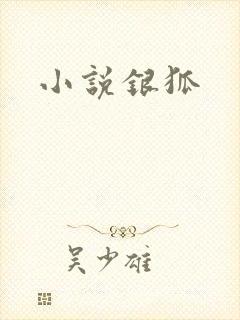 小说银狐