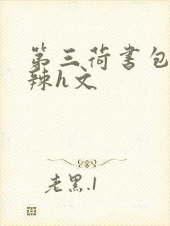 第三荷书包网高辣h文