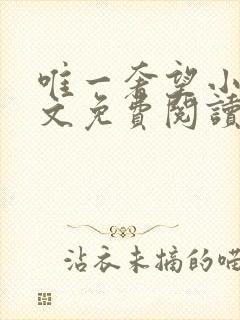 唯一奢望小说全文免费阅读