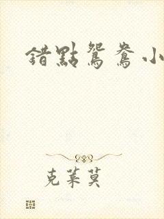 错点鸳鸯小说