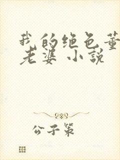 我的绝色董事长老婆 小说封面