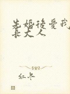 先婚后爱我的市长大人