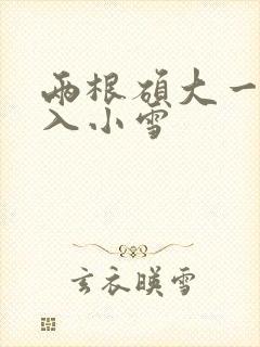 两根硕大一起挤入小雪