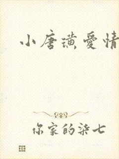 小唐璜爱情历史