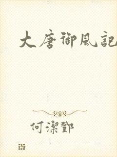 大唐御风记封面