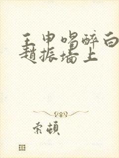 王申喝醉白洁被赵振墙上