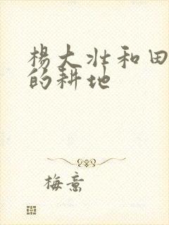 杨大壮和田桂花的耕地