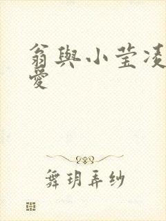 翁与小莹凌晨欢爱