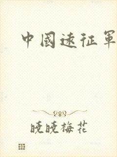 中国远征军小说