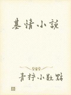 基情小说