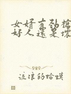 女婿有劲枪枪是好人还是坏人