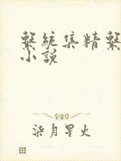 系统集精系统 小说